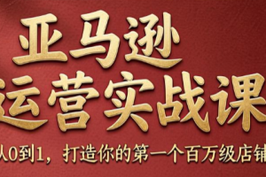skyla·亚马逊运营实战课(更新6月)