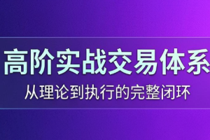 高老师·高阶实战交易体系(更新6月)