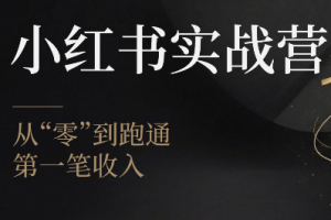 金金老师·小红书实战营