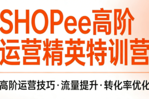 梦凡老师·Shopee虾皮高阶运营课程(更新)