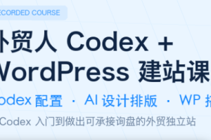 外贸人Codex + WordPress建站课