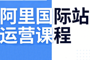 张国儒·阿里国际站运营课程(更新7月)