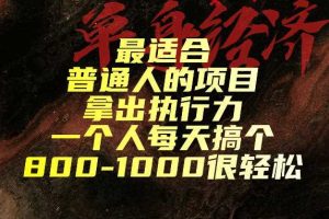 最适合普通人的项目，拿出执行力一个人每天搞个800-1k很轻松【揭秘】
