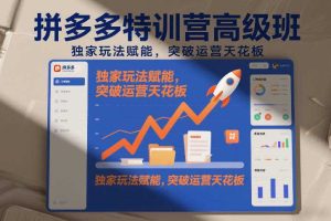 拼多多特训营高阶班，独家玩法赋能，突破运营天花板（更新260804）
