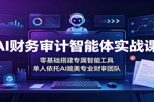 AI财务审计智能体实战课：零基础搭建专属智能工具，单人依托AI媲美专业财审团队