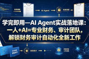学完即用—AI Agent实战落地课:一人+AI=专业财务、审计团队,解锁财务审计自动化全新工作模式(更新0804)