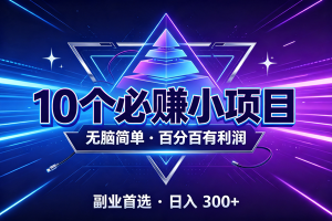 （19714期）10个必赚的小项目，无脑简单，百分百有利润，副业的首选，日入300+