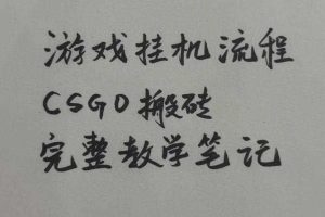 游戏挂G全流程笔记分享，CSGO游戏搬砖，小白看了当天学会见收益【揭秘】