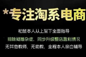 松鼠会电商VIP课程，从基础布局到高阶优化，助你掌握淘宝运营逻辑，提升店铺流量与转化（更新0901）