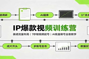 IP爆款视频训练营：赛道流量布局，7秒短视频起号，AI批量做号全套教学