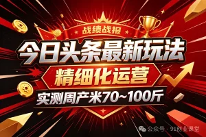 今日头条最新玩法，精细化运营，躺米，实测周产米 70~100 ，兔米橡木，全新躺.zhuan模式