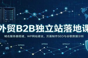 外贸B2B独立站落地课：域名服务器搭建，WP网站建设，页面制作SEO与谷歌数据分析