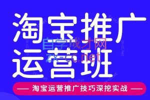 美迪电商·淘宝高级运营班+推广运营班(更新10月)