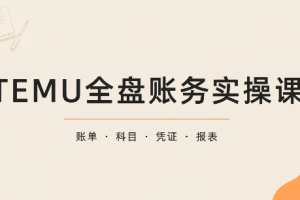 TEMU全盘账务实操课：账单导出、科目设置、利润核算