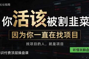 做项目不如卖项目,做知识付费自己当老板,知识付费顶层操盘课,听懂就翻盘【揭秘】