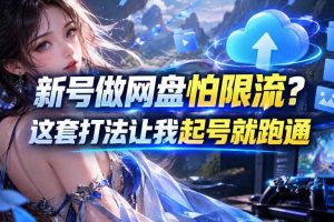 新号做网盘怕限流？这套打法让我起号就跑通，网盘项目推广的8.0版本教学