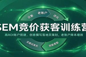 SEM竞价获客训练营：高ROI账户搭建，创意撰写落地页策划，老账户降本增效