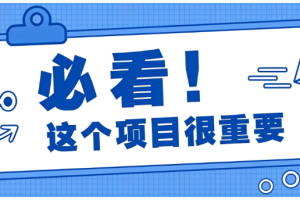 壁纸号新玩法拆解，低成本手机就能操作，有人靠这套玩法轻松做到月入万元
